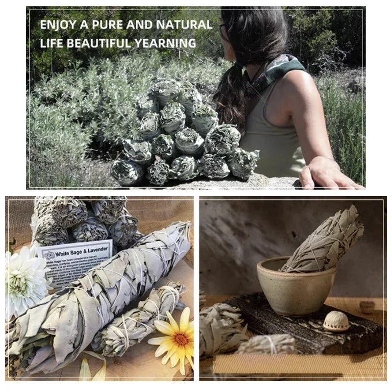 Organic California White Sage Smudge Sticks Bulk for Home Cleansing, Negative Energy Removal, Good Energy | Pure Sage Bundles, Witchcraft, Rituals