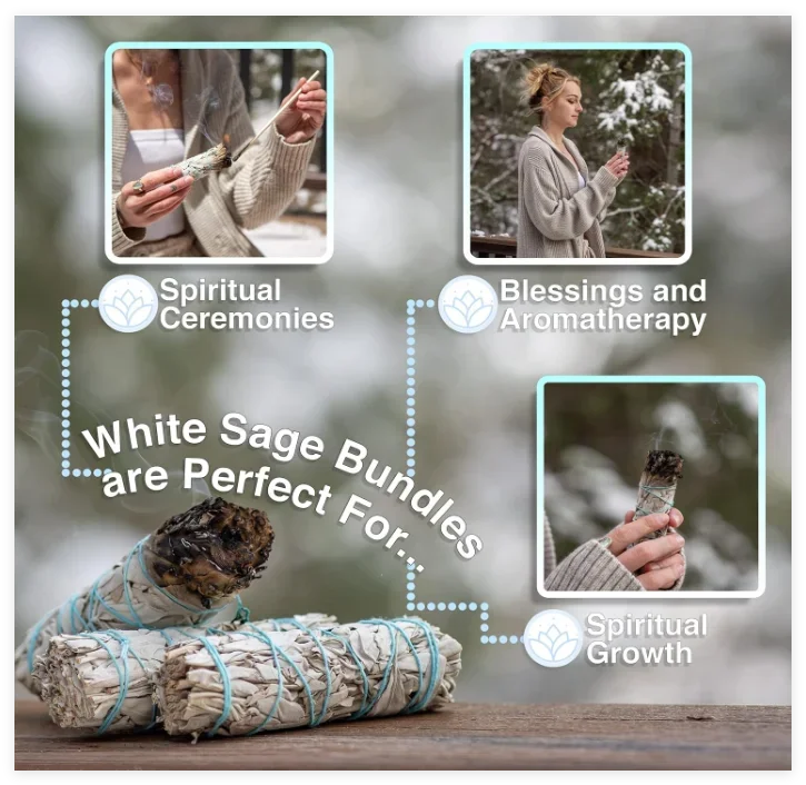 Organic California White Sage Smudge Sticks Bulk for Home Cleansing, Negative Energy Removal, Good Energy | Pure Sage Bundles, Witchcraft, Rituals